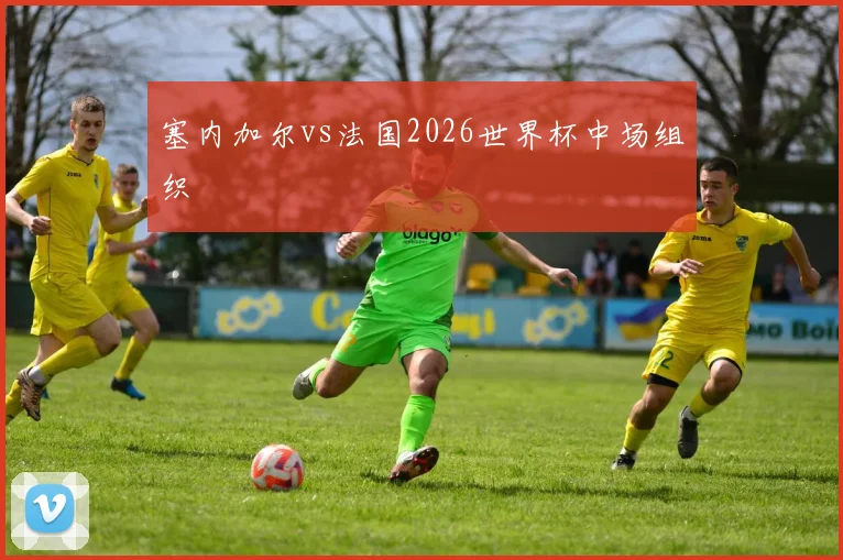 塞内加尔vs法国2026世界杯中场组织