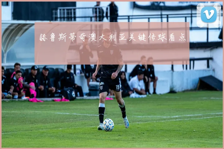 赫鲁斯蒂奇澳大利亚关键传球看点