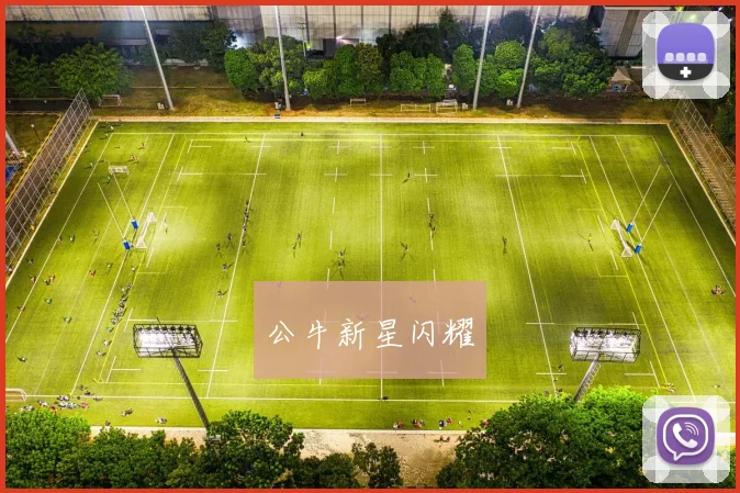 公牛新星闪耀