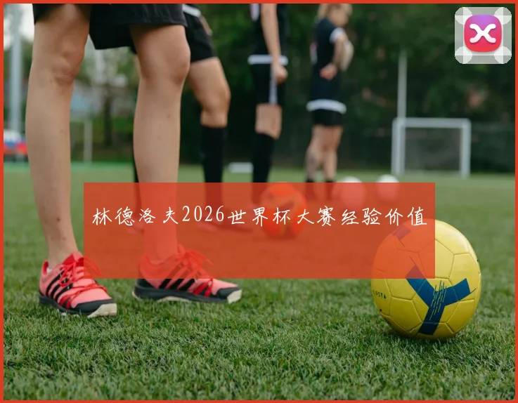 林德洛夫2026世界杯大赛经验价值