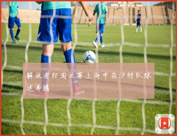 解放者杯淘汰赛上海申花沙特队球迷沸腾