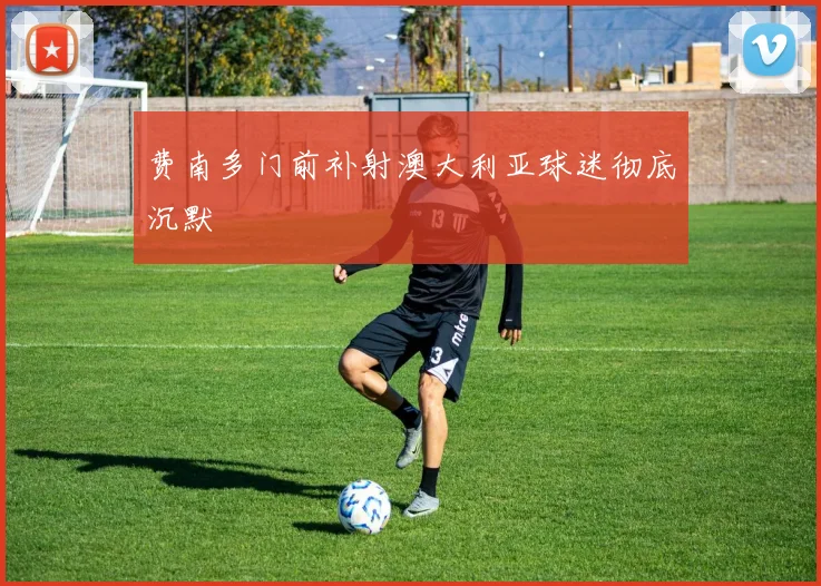 费南多门前补射澳大利亚球迷彻底沉默