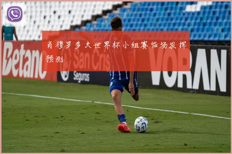 肖穆罗多夫世界杯小组赛临场发挥预测