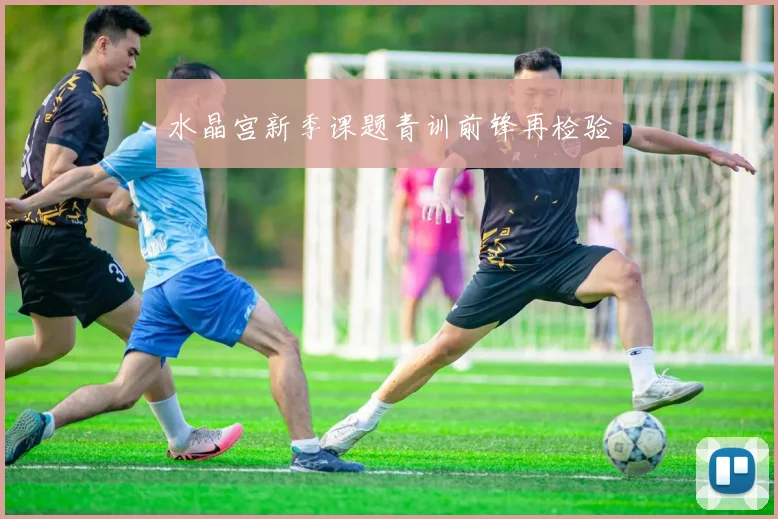 水晶宫新季课题青训前锋再检验