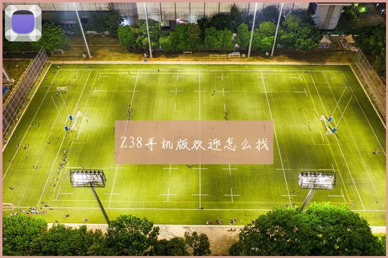 Z38手机版欢迎怎么找
