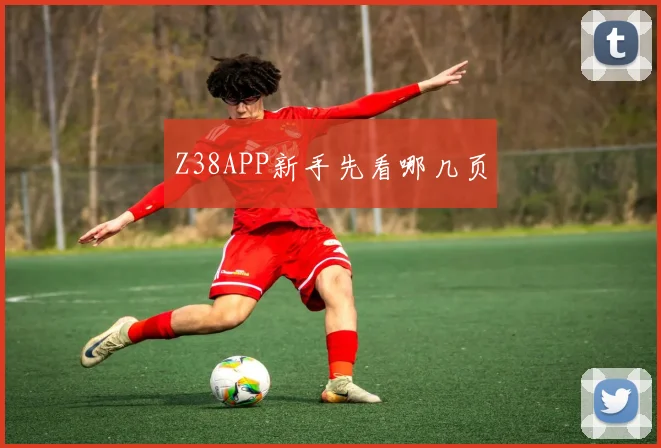 Z38APP新手先看哪几页