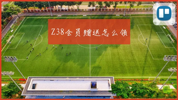 Z38会员赠送怎么领