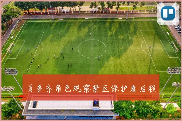 贡多齐角色观察禁区保护看后程
