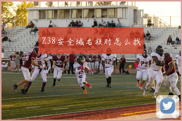 Z38安全域名核对怎么找